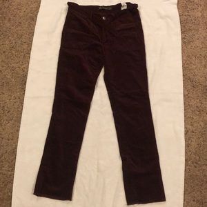Zara maroon, velvet jeans